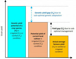 Key to global food security?