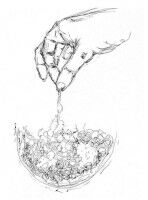 Manipulating chromosomes in living cells reveals that they are fluid