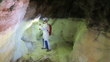Methane-eating relative of tuberculosis bacteria found in Romanian cave