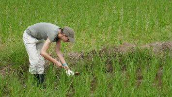 Multi-Insecticide Resistant Malaria Vectors Remain Susceptible to Malathion Insecticide