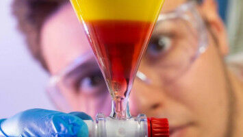 Mushroom genus Cortinarius follows its own metabolic pathway