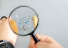 Rare discovery: How a gene mutation causes higher intelligence