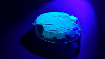 Record-breaking and readily available - researchers discover aluminium complex with very strong fluorescence