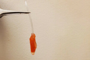 Reverse engineering the heart: University of Toronto researchers create bioartificial left ventricle