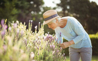 Sense of purpose is linked to reduced risk of dementia