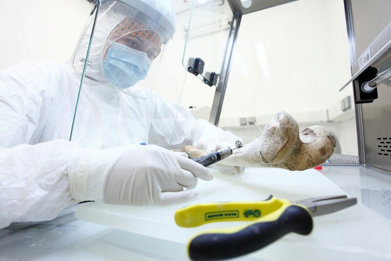 Ancient DNA extraction in Mainz&rsquo;s lab. Work done in sterile conditions to 