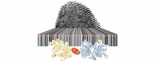 The resolution of a molecular orchestra