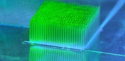 Tiny 'skyscrapers' help bacteria convert sunlight into electricity