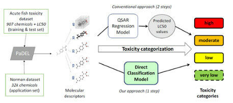 Overall workflow of the study, from the raw data to the finally generated models