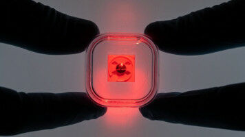 What the 'prey' of a peregrine falcon tells us about the beginnings of our solar system