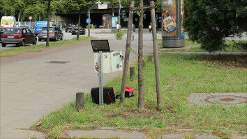 Young trees in Hamburg left high and dry