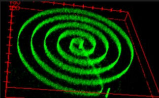 3D 'bio-printing' inside hydrogels could help understanding of how cancer spreads