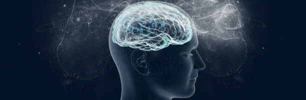 An atlas of the human brain - mapping every brain cell