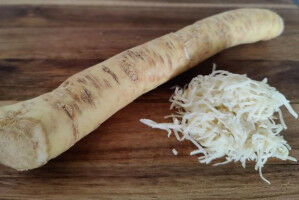 Biolab instead of horseradish root