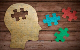 Brain area necessary for fluid intelligence identified