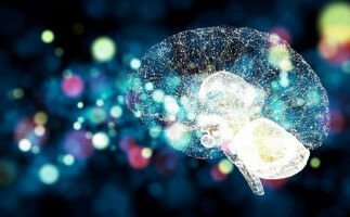 Brain mechanism that connects the past and present discovered