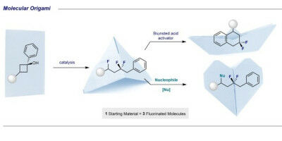 Chemists develop reaction cascade to produce fluorinated molecules