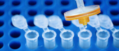 Deeper insights into bacteria