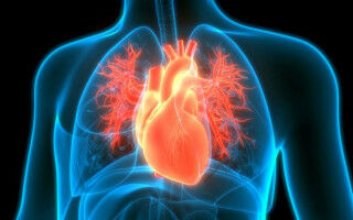 Devastating heart condition can be reversed, study shows for the first time