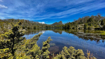 Ecosystems in Victoria and Tasmania feeling the heat