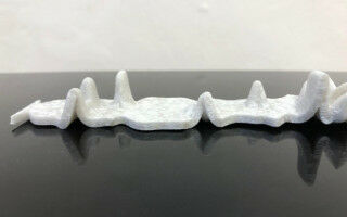 Feature: Preserving endangered languages as 3D shapes