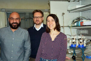 From greenhouse gas to value-added product