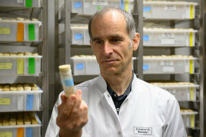 From the cell to the patient: new MIC research building starts its work