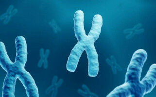 Genetic basis of facial changes in Down syndrome
