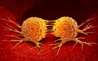 Genetic clues show how cancer may progress