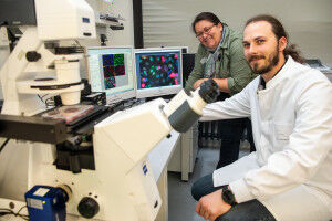 How cells defend themselves against adenoviruses