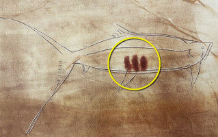 Ice Age markings show evidence of early writing dating back 20,000 years