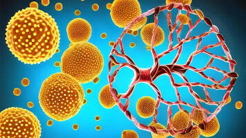 IOR: promising breakthrough in prostate cancer therapy