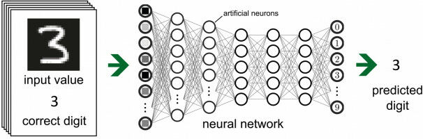 Looking deep into the Network