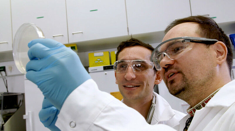 Chase Beisel (center) and Oleg Dmytrenko in the HIRI lab.