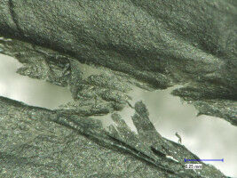 Plastic gobblers found in alpine and arctic soils