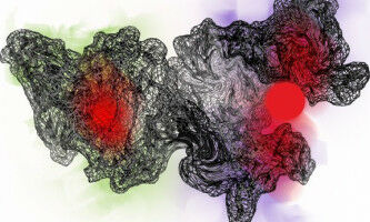 RNA-drug interac�ti�ons