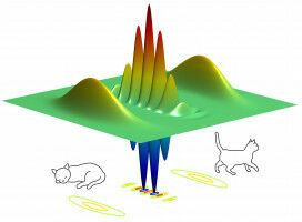Schr�dinger's cat makes better qubits
