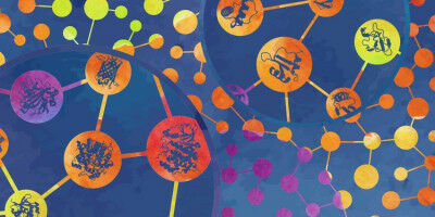 Study compares de novo proteins with randomly produced proteins