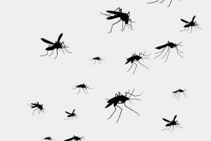 The chemistry of mosquito attraction