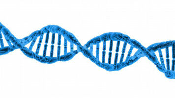 The double-helix 70 years on: five FMI studies that helped decipher the DNA