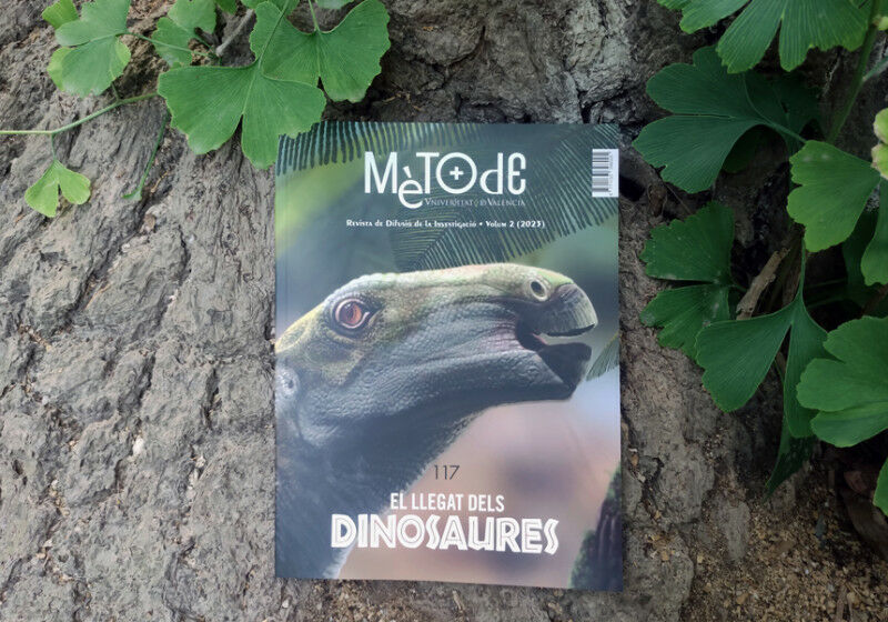 Cover of new M�tode&rsquo;s issue �The legacy of the dinosaurs�, with the illust