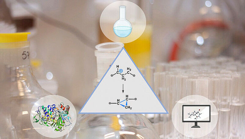 Fig. 1: Maulide cyclopropane C: Maulide Group