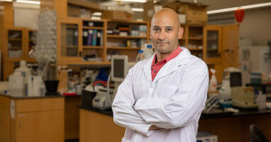 Western research leads to�new understanding of how HIV hides itself in the body�