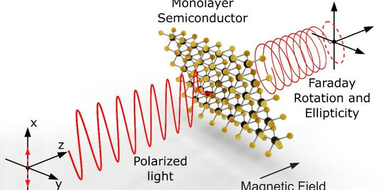 Linearly polarised light passes through an atomically thin semiconductor in a ma