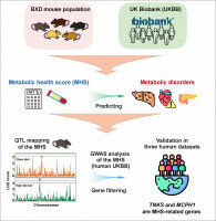 Building a blueprint of metabolic health - from mouse to human