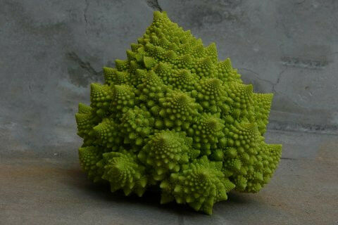 Fractal structures can also be found in nature.