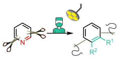 Chemical synthesis: new strategy for skeletal editing on pyridines