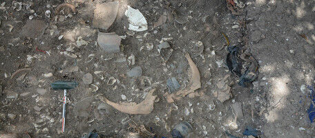 Chemists, biologists, archaeologists - who will unearth the recipes of our ancestors?