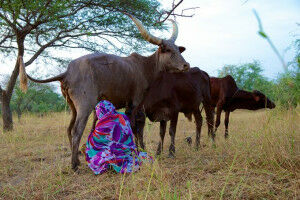 Chronic Pain and Pastoralists in Ethiopia