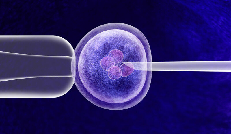 In vitro gene editing width genetic CRISPR method. (Photo: depositphotos/lightso
